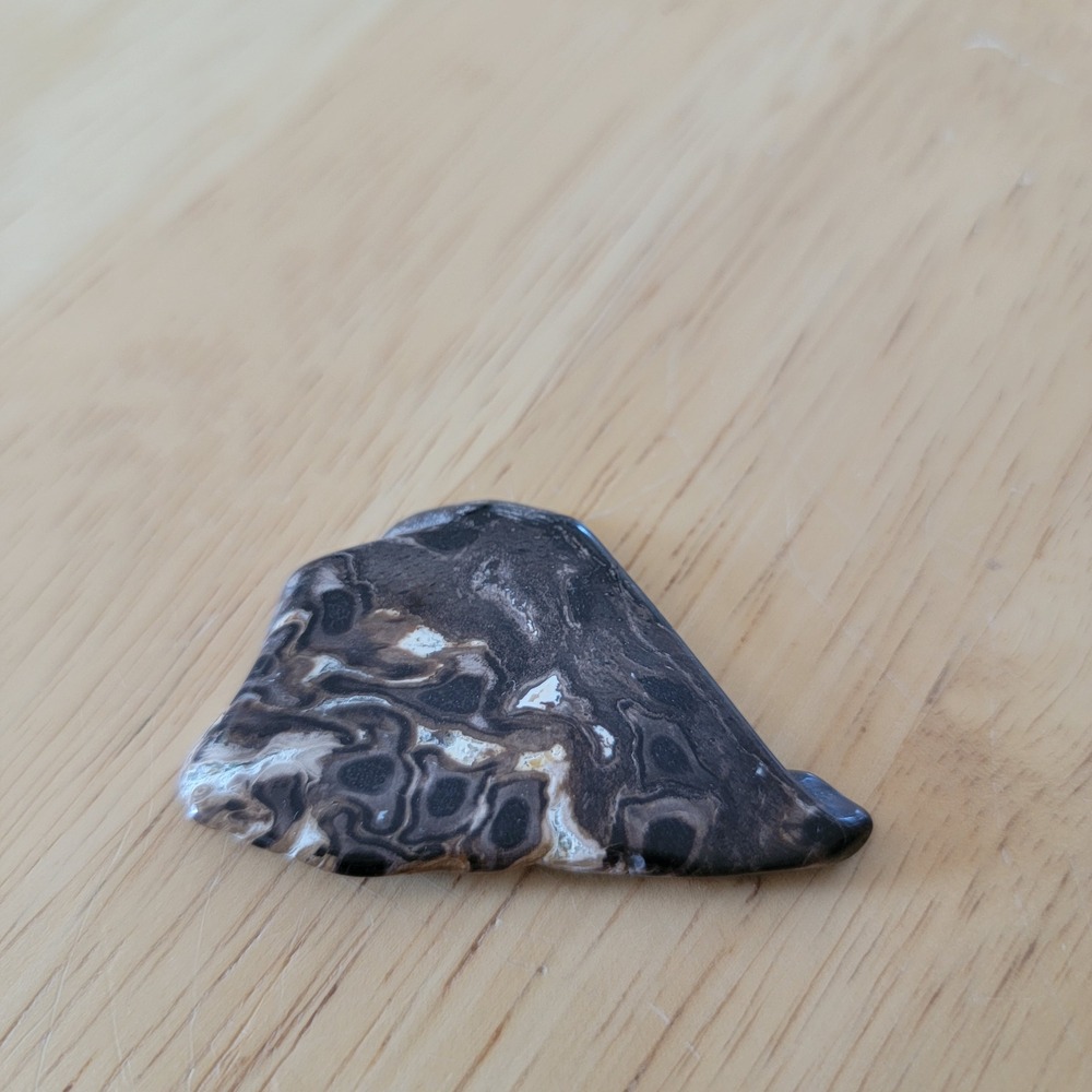 Fossilized Stone 2" Slice Polished Rock Specimen Display Decor‎ Brown Black